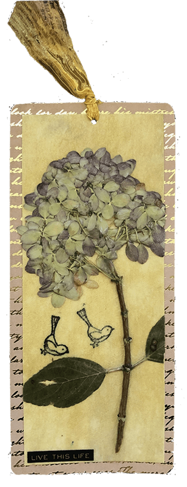 Botanical Bookmarks by Judy Levine About Color